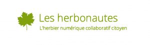 herbonautes-header